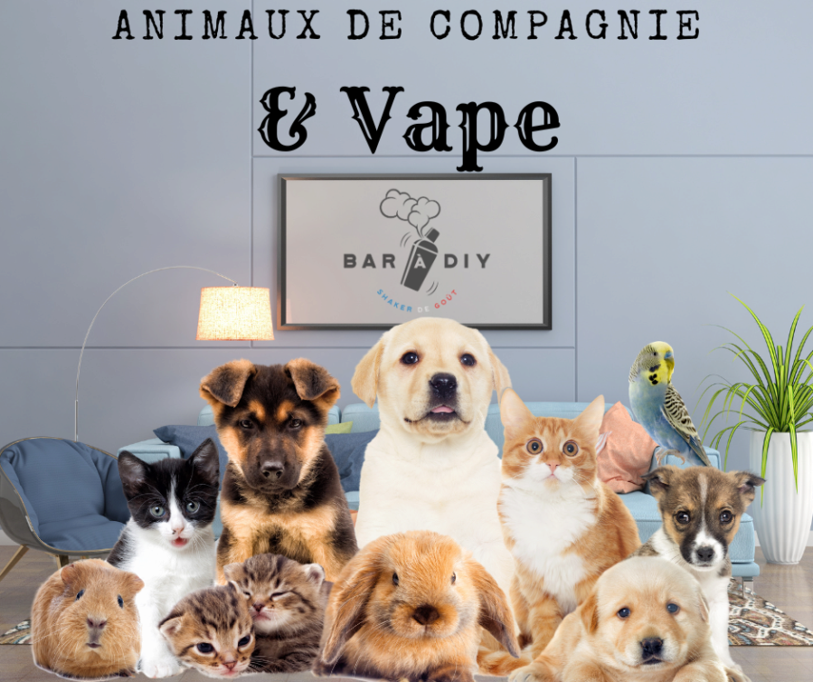 Animaux de compagnie et Vape | Blog | Bar  Diy