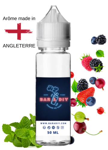 E-liquide Berry Menthol de Vampire Vape® | Bar à DIY®