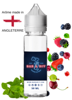 E-liquide Berry Menthol de Vampire Vape® | Bar à DIY®