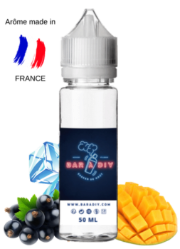 E-liquide Cassis Mangue - Fruizee de Eliquid France® | Bar à DIY®