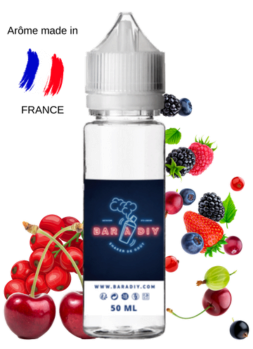 E-liquide Frizz Berries de Rigolo | Bar à DIY®